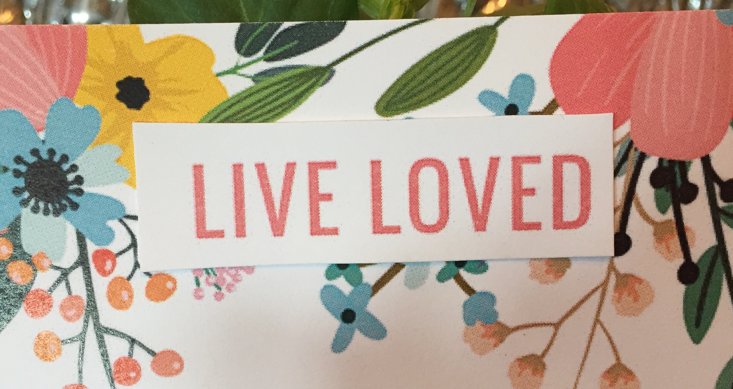 Live Like You’re Loved
